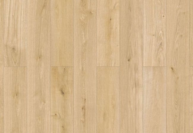 Inhaus Elandura Gilmour Luxury Vinyl Plank, Canadian Standard
