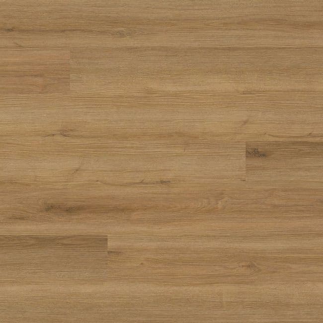 MSI Cyrus Amber Forrester Luxury Vinyl Plank