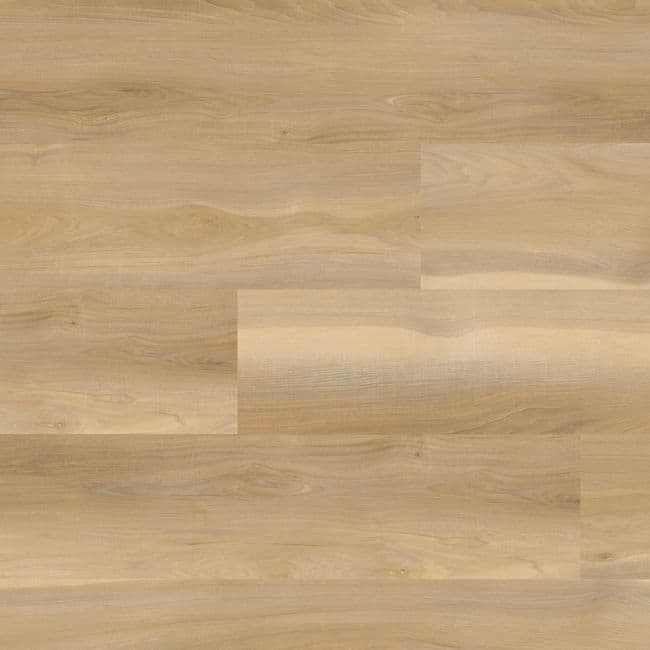 MSI Nove Plus Bayhill Blonde Luxury Vinyl Plank