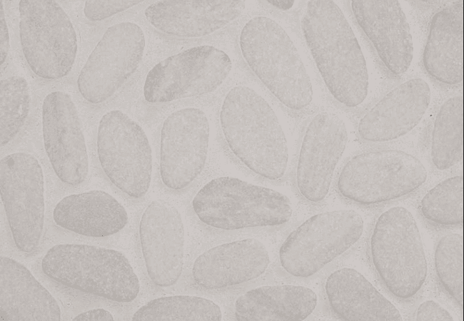 MSI White Marble Pebbles Tumbled Tile — MSI Surfaces