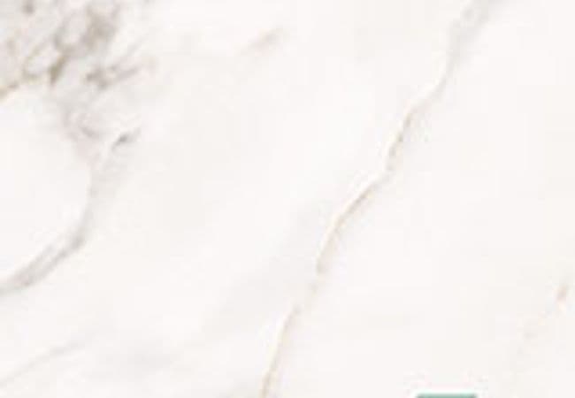 MSI Stile Gauged Porcelain Slabs Calacatta Lucca — MSI Surfaces