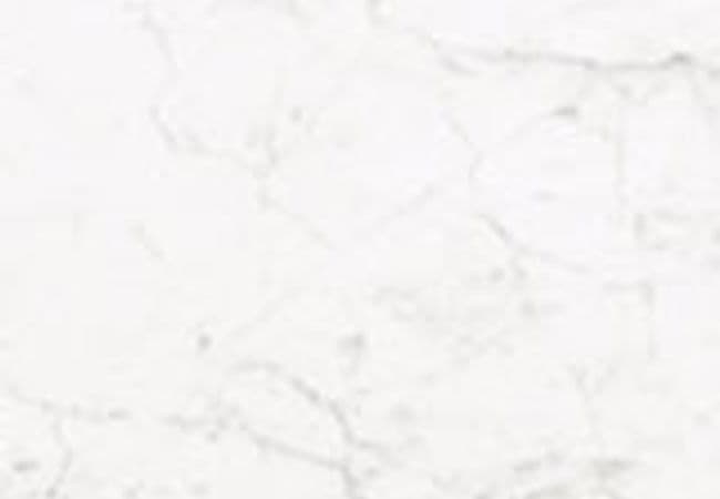 MSI Stile Gauged Porcelain Slabs Statuarietto Bianco — MSI Surfaces