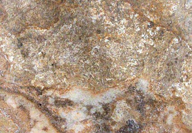MSI Travertine Tile Tuscany Scabas — MSI Surfaces