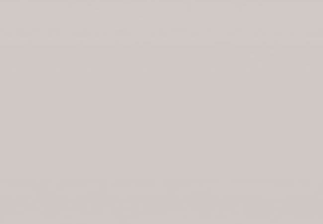 Midgley West Color Mind Brut Tile 3"x10" - Matte