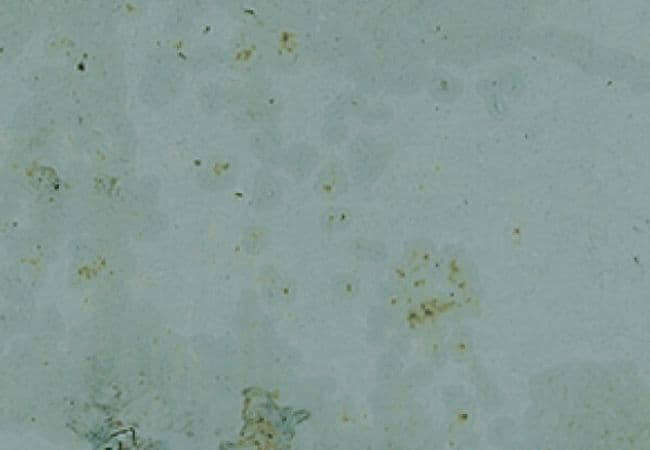 Midgley West Grunge Aqua Tile 3"x12" - Shiny — Midgley West