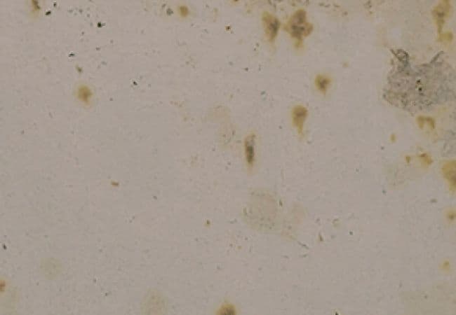 Midgley West Grunge Grey Tile 3"x12" - Shiny, Midgley West