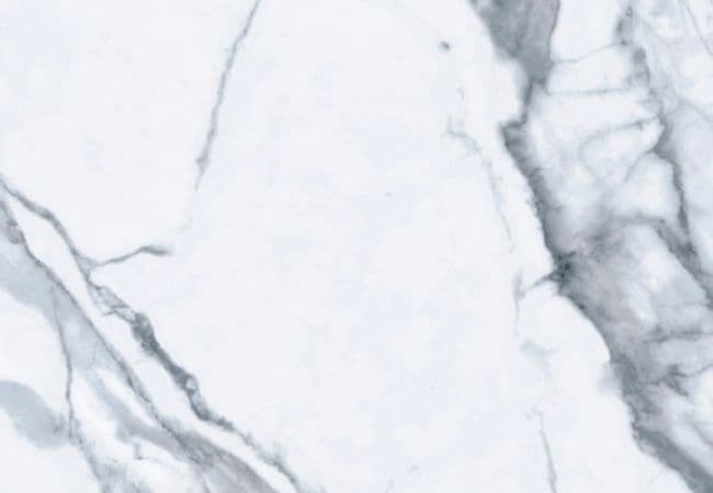 Midgley West Bianco Venatino Bianco Venatino Tile 12"x24" - Matte — Midgley West