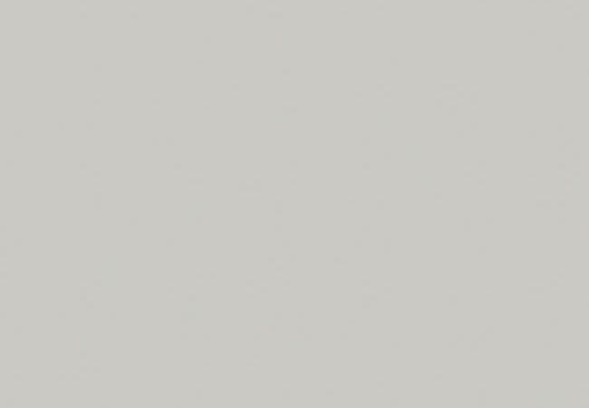 Midgley West Colors / Mono Cenere Tile 6"x24" - Polished — Midgley West