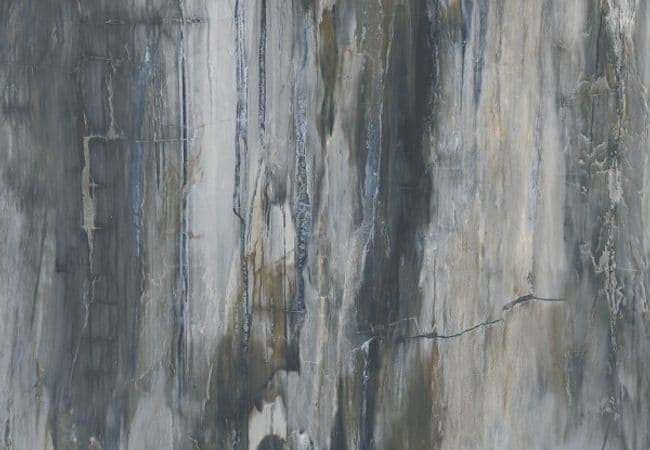 Midgley West Petrified Wood Blue Tile 12"x24" - Polished, Midgley West