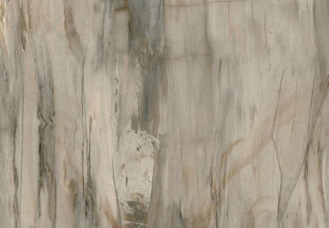 Midgley West Petrified Wood Natural Tile 12"x24" - Natural, Midgley West