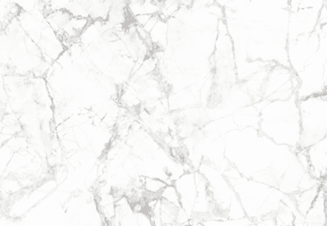 Neshada Tile Attivo White Polished Porcelain Tile 32x64, Neshada Tile & Stone