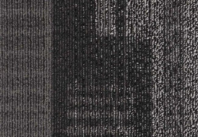 Next Floor Dedication Carpet Tiles Tuxedo