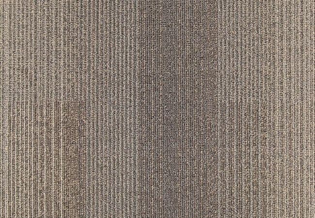 Next Floor Development Carpet Tiles Camel Hair