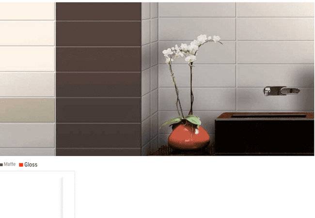 Olympia Gatineau Matte & Gloss Subway Wall Tiles Color: White Size: 4 X 16, Olympia Tile