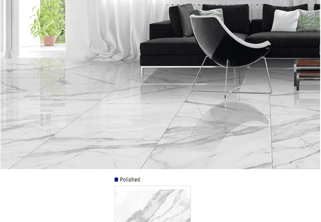 Olympia Arya Polished Glazed Porcelain Tile Color: White Size: 12x24, 24x24, 24x48, Olympia Tile