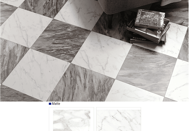 Olympia Inspire Matte Glazed Porcelain Tile Color: Bianco Calacatta, Bianco Statuario Size: 18x18, Olympia Tile