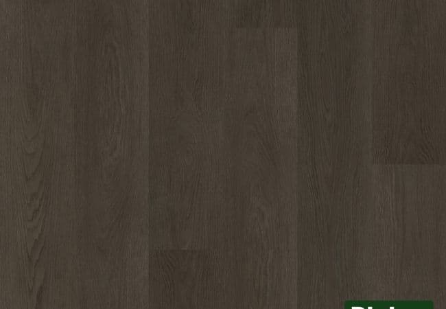 Riche 5204 Luxury Vinyl Plank — Riche Flooring
