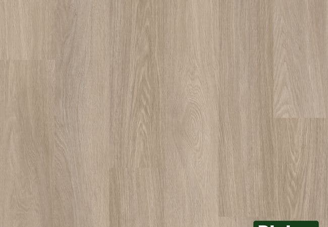 Riche 5205 Luxury Vinyl Plank — Riche Flooring