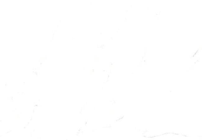 Sidco Euro White 12x24 Porcelain Tile