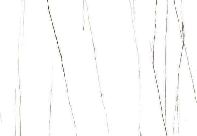 Sidco Robinson White 12x24 Porcelain Tile