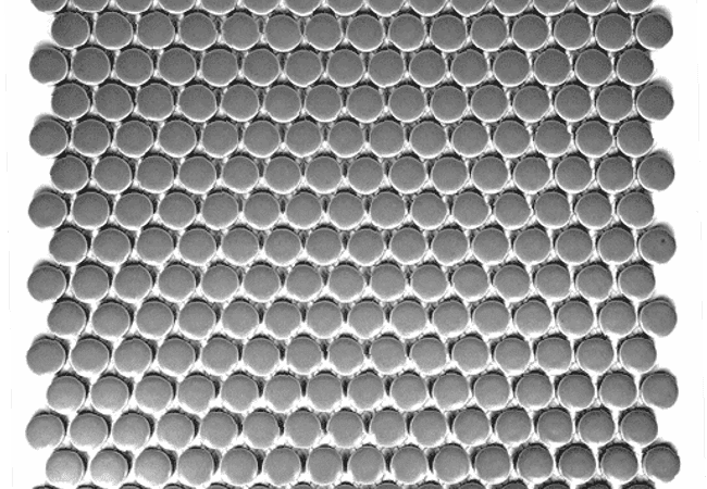 Sarana Tile Mosaics MH Penny MHPENN P008, Sarana Tile