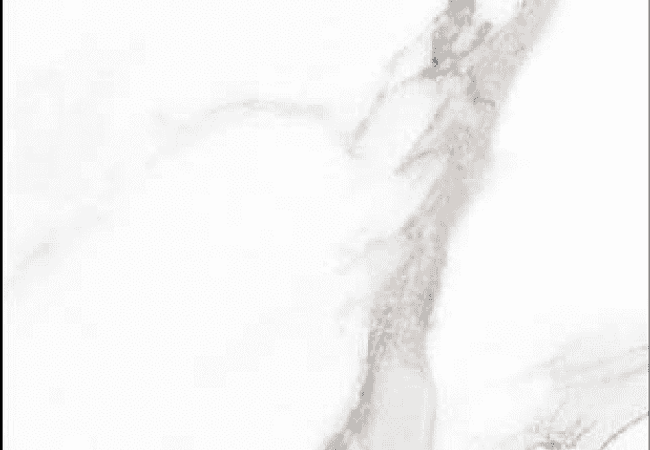 Sarana Tile Aurora G60120mat, Sarana Tile