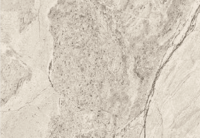 Sarana Tile Earthsong Earths Natural, Sarana Tile