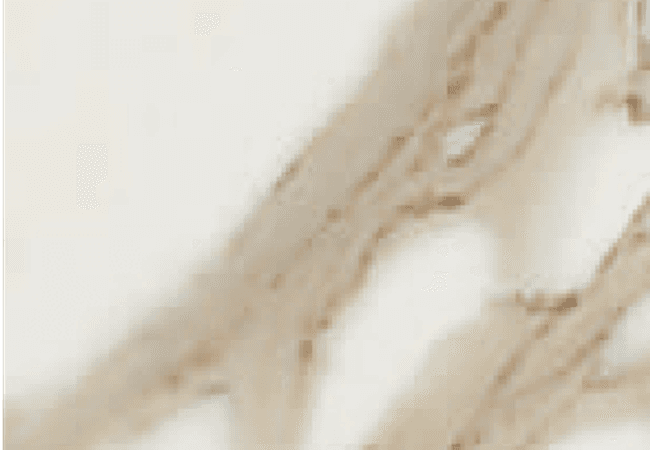 Sarana Tile Fanal Calacatta Fanalc Cal6060, Sarana Tile