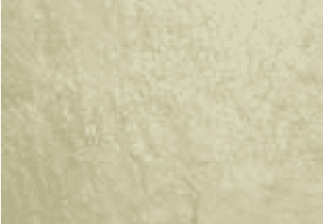 Sarana Tile Fitch Fawn31, Sarana Tile