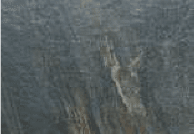 Sarana Tile Fitch Rainbow31, Sarana Tile