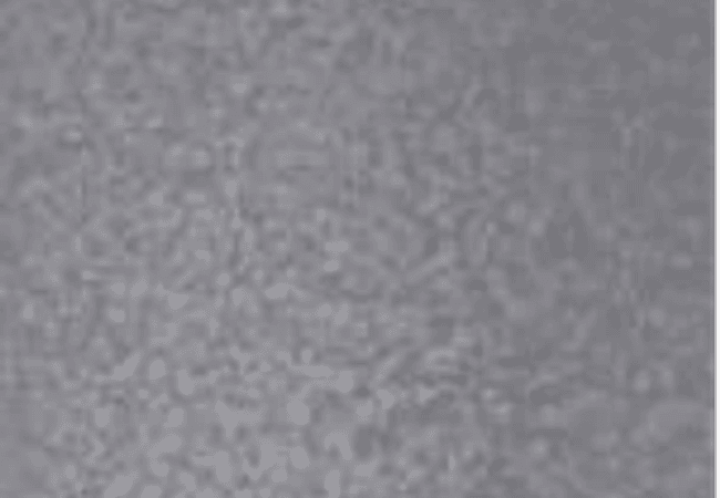 Sarana Tile Flow Blackmos, Sarana Tile