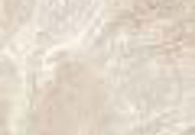 Porcelain Floor & Wall Tile
