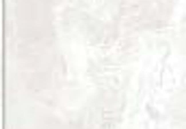 Sarana Tile Landmark Barcelona White, Sarana Tile