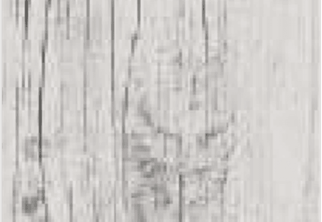 Sarana Tile Nav Wood Navwo Bogris, Sarana Tile