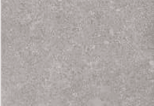 Sarana Tile Trust White, Sarana Tile