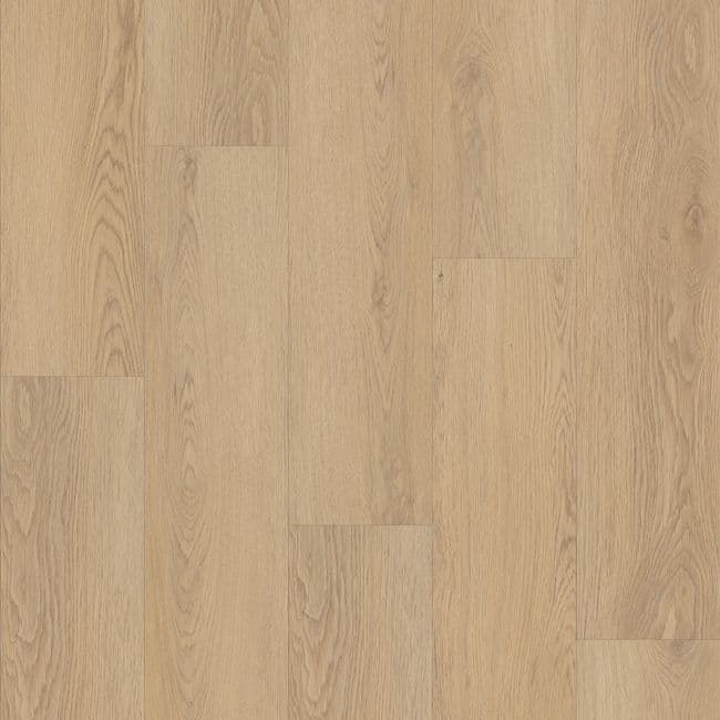 Shaw Endura Plus White Sand Luxury Vinyl Plank, Shaw Floors