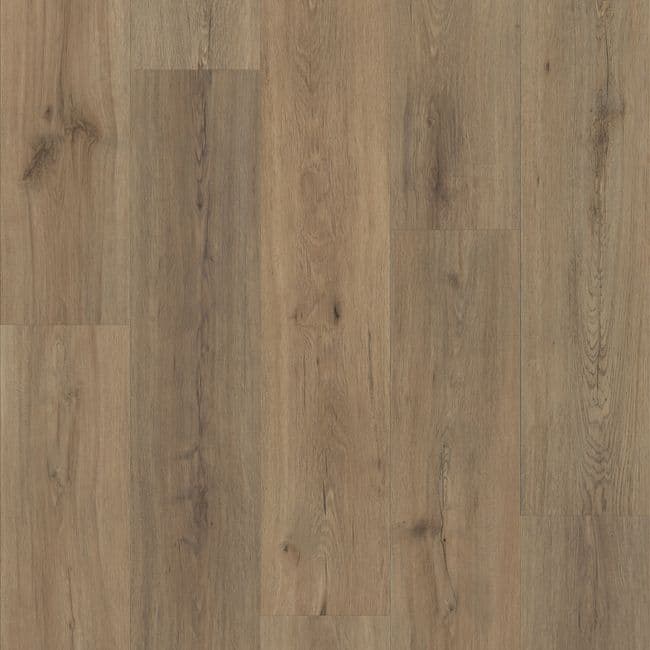 Shaw Endura Plus Wild Dunes Luxury Vinyl Plank, Shaw Floors