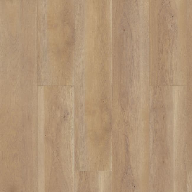 Shaw Paragon HD Plus Natural Bevel Edgemont Luxury Vinyl Plank, Shaw Floors