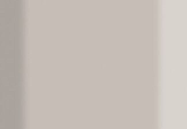 Urban Zebra Matte Brick Art Porcelain Tile White, Urban Zebra