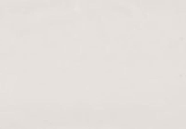 Urban Zebra Slide Porcelain Tile White, Urban Zebra