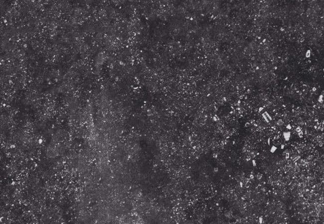 Urban Zebra Concert Porcelain Tile Black, Urban Zebra