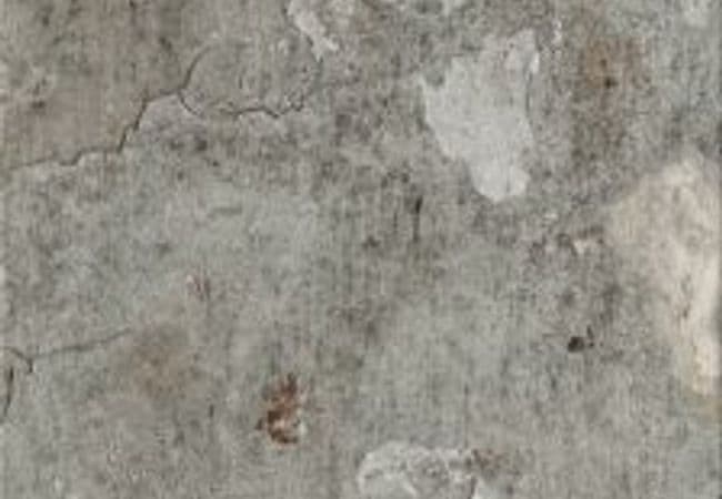 Urban Zebra Marks Porcelain Tile Plaster, Urban Zebra
