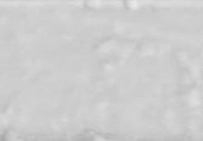 Urban Zebra Glossy Brick Art Porcelain Tile White, Urban Zebra