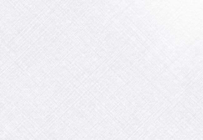 Urban Zebra Harley Lux Porcelain Tile White, Urban Zebra