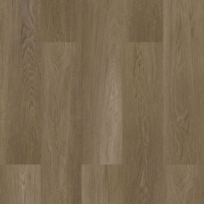 Vizion Marvelous Acadia Luxury Vinyl Plank