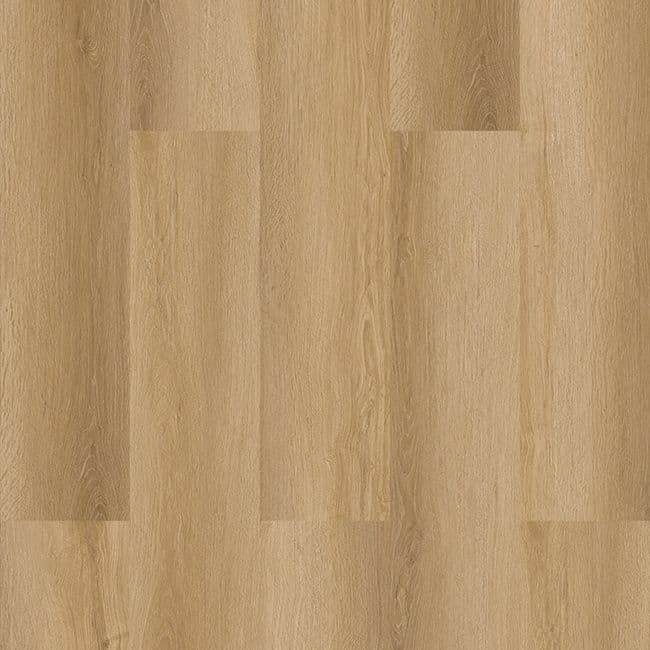 Vizion Marvelous Banff Luxury Vinyl Plank, Vizion Floor