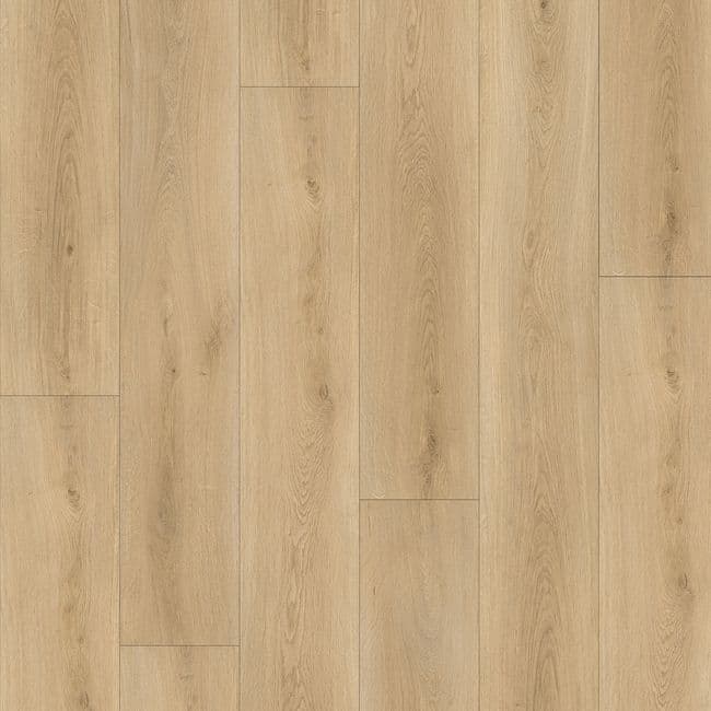 Vizion Marvelous Forillon Luxury Vinyl Plank, Vizion Floor