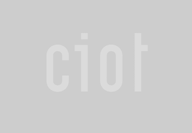 Ciot Tiles Natural Stone flooring sample