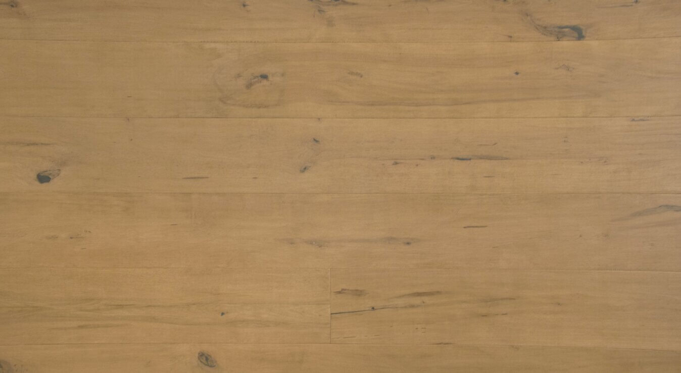 Taurus Grandeur Divine Maple Engineered Hardwood Flooring SQUAREFOOT FLOORING - MISSISSAUGA - TORONTO - BRAMPTON