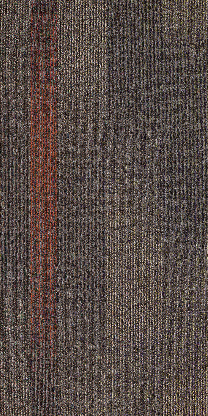 840 00 Muir Woods 19.7” x 39.4” Next Floor Continuum Carpet Tiles SQUAREFOOT FLOORING - MISSISSAUGA - TORONTO - BRAMPTON